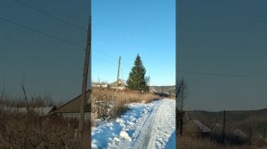 Село Городищи, ул. Ленина. музыка: @Александр Закшевский; @Ольга Дамбраускене.