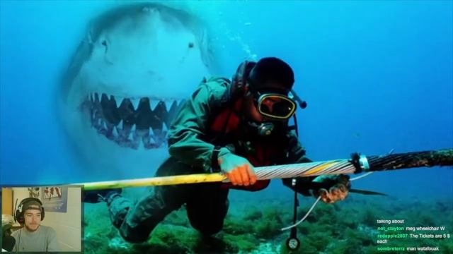 Fish Biologist reacts to "A.I Generated Megalodon Documentary" смотреть онлайн