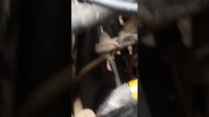 Рено симбол заливка масла в коробку кпп