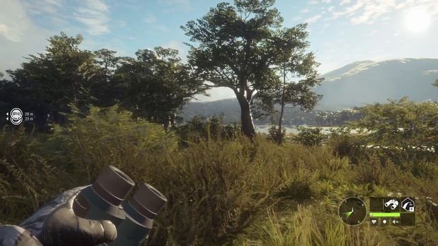 ALL 8 HOTSPOT MAPS!! | Parque Fernando Guide 2023 - theHunter Call of the Wild смотреть онлайн