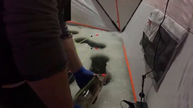 Тот момент когда нужно засекать осетра осетра зимой со льда на бабочку. смотреть онлайн