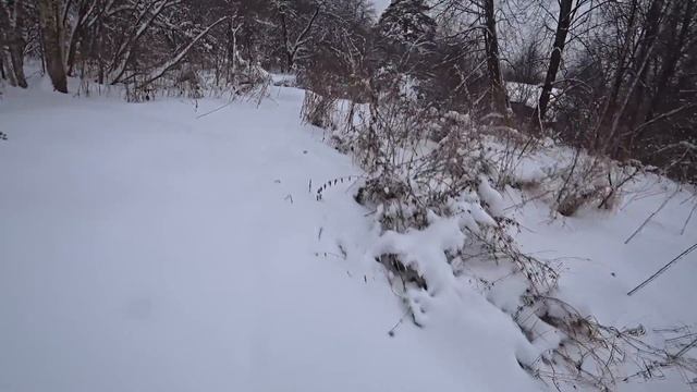 Купили дом в деревне, обзор участка и пожарный проезд смотреть онлайн