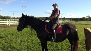 Как повернуть лошадь? "Принцип коридора".