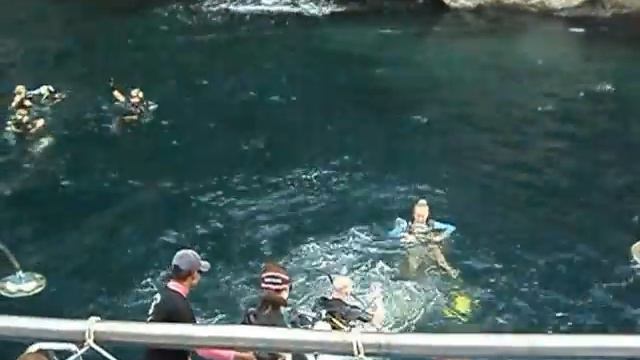 Дайвинг на Андаманском море. смотреть онлайн