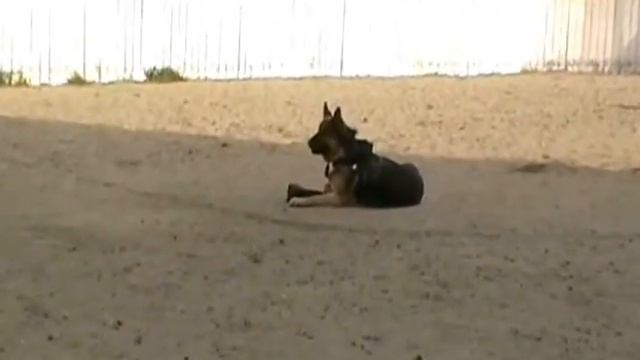 Зена охрана вещи смотреть онлайн