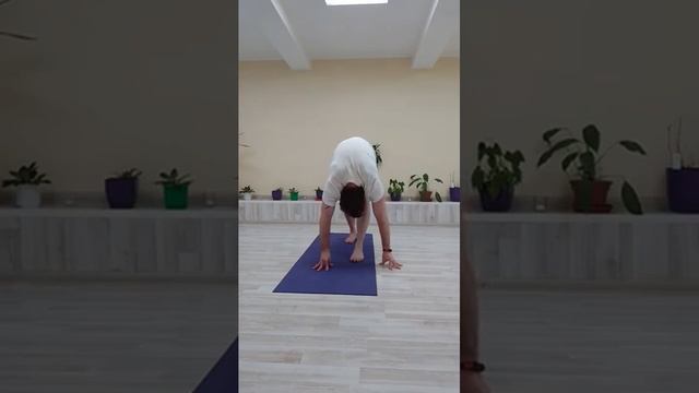 Йога. Силовая динамика смотреть онлайн