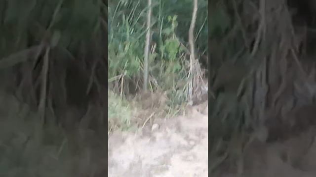 Я на даче еду смотреть на яму в каторам машина. смотреть онлайн