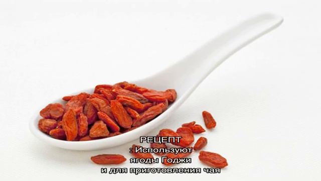 Ягоды Годжи для похудения. Полезные свойства ягоды Годжи и противопоказания. Где купить Ягоду Годж.