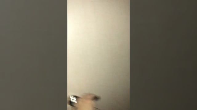 Затопление квартиры в новостройке бутово парк 2, Дрожжино