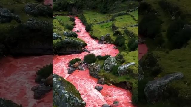 ?? Красная река в долинах Куско, Перу Красный цвет реки – это сезонное явление. смотреть онлайн
