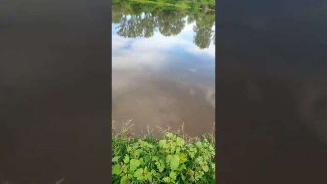 Р.Белая ....заводь пришёл закинуть пару раз пока время есть ☺ 13 августа 2020 смотреть онлайн