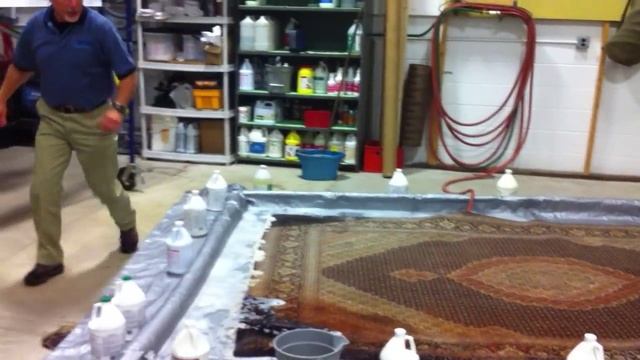 Oriental Rug Cleaning-Cat Urine Accident смотреть онлайн