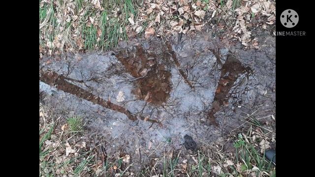 Ольга Азгамова - "Я видела цветы" (авторское стихотворение) смотреть онлайн