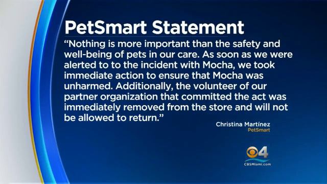 CBSMiami News Update 1/30 8AM смотреть онлайн