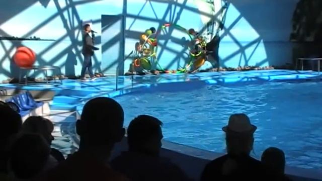 Минский дельфинарий «Немо»12 08 2016 смотреть онлайн