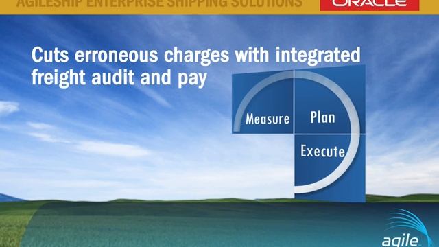 Agile Network's Oracle Validated Integration смотреть онлайн