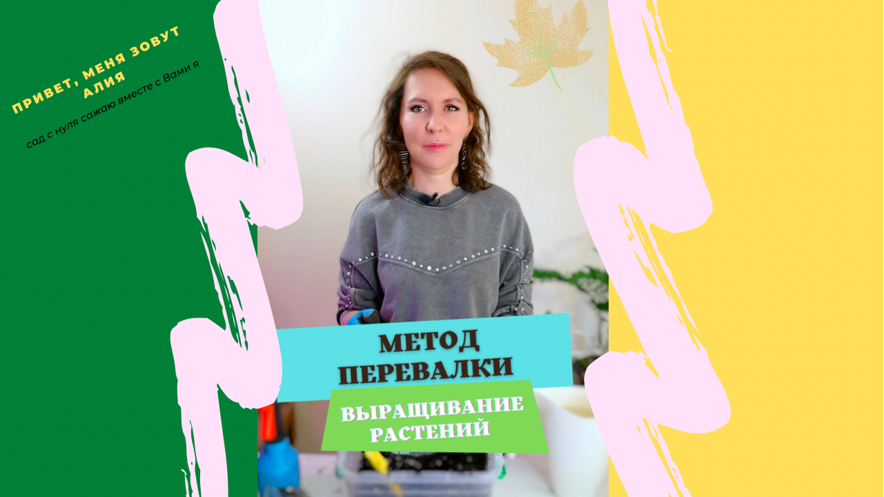 Метод перевалки при выращивании растений