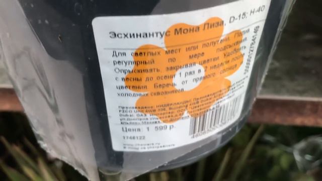 Новый завоз цветов в Оби! смотреть онлайн