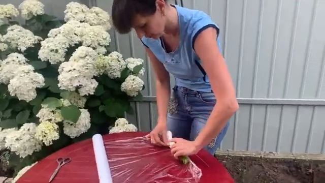 Четыре способа хранения лука порей смотреть онлайн