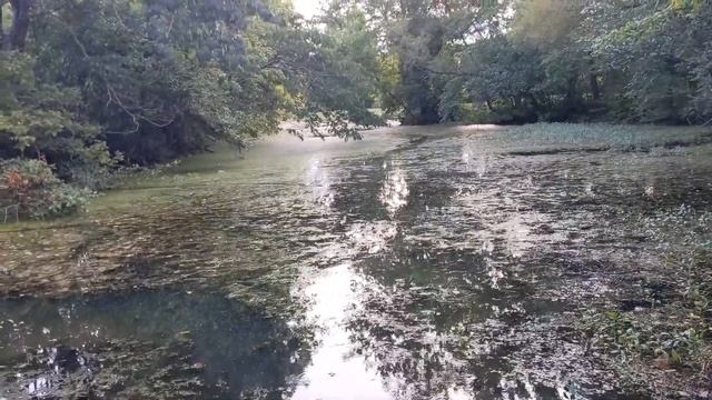 How I installed a trolling motor on my kayak! (Lifetime Tamarack Angler 100) смотреть онлайн