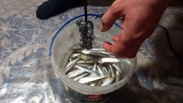 КАК легко и БЫСТРО почистить рыбу? Лайфхак для уклейки! смотреть онлайн