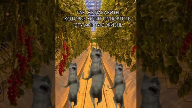 Томатный драйв смотреть онлайн