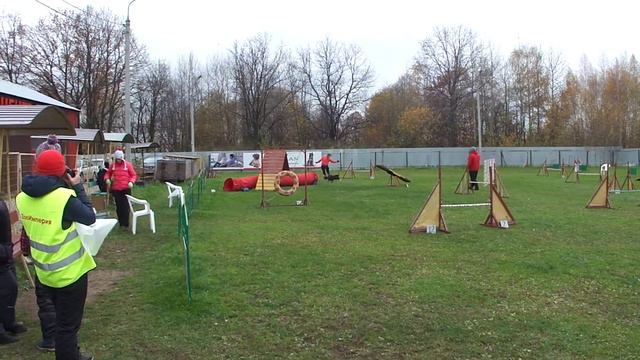 Кубок Роял Канин, 16.10.2016, г. Ярославль смотреть онлайн