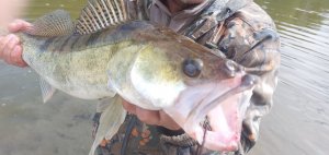 РЫБАЛКА НА реке ТУРА  в Свердловской области. ЛОВЯТ ТЕ КТО ЗНАЕТ ГДЕ И НА ЧТО....