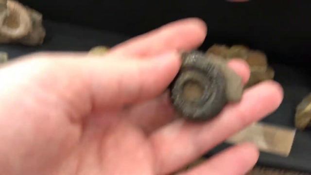 Reptilium 3 октября 2020. Выставка рептилий в Москве | 1 ЧАСТЬ смотреть онлайн