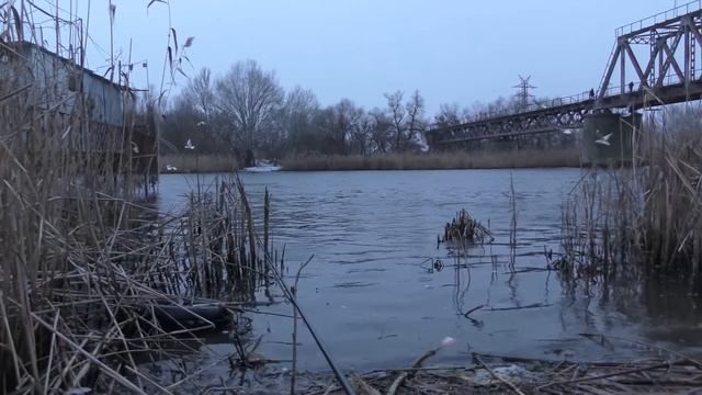 НОЧНАЯ РЫБАЛКА ЯДЕРНАЯ ПРИКОРМКА смотреть онлайн