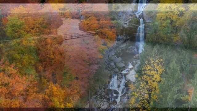 целебная музыка для сердца и сосудов ?успокаивает нервную систему и радует душу смотреть онлайн