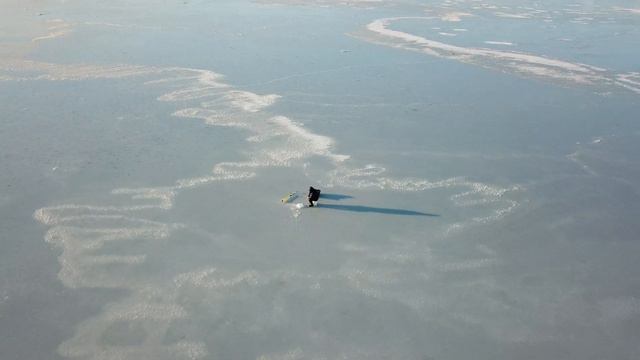 Магадан 2018 февраль одинокий рыбак на бухте Гертнера DJI 0780 смотреть онлайн