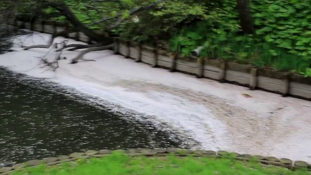 Парк в Йокогама Санкэйэн. Природа Японии. Достопримечательности Японии. смотреть онлайн