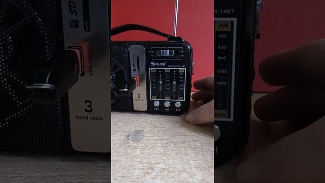 Радиоприёмник всеволновый, с питанием от аккумулятора, вход для usb-flash, sd-flash, фонарик. смотреть онлайн