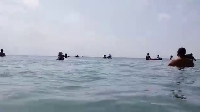 Станица Благовещенская.Центральный пляж Благо.23 августа 2021г смотреть онлайн