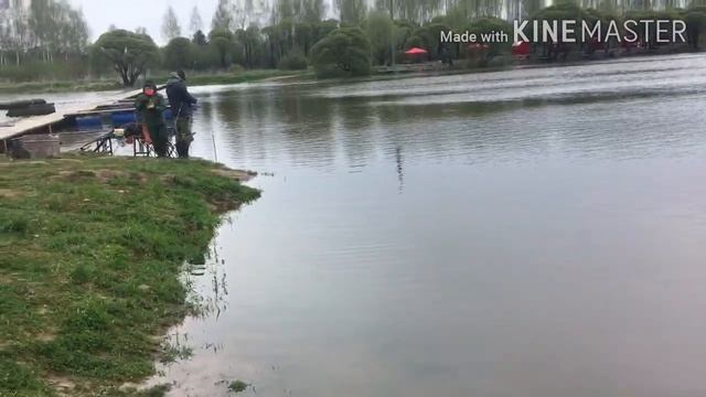 ФОРЕЛЬ В БРАТОВЩИНЕ смотреть онлайн