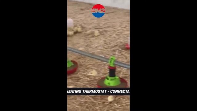 GA 100 DIRECT COMBUSTION MEDIUM PRESSURE SUSPENDED SPACE HEATER смотреть онлайн