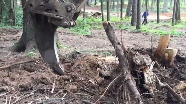 Уборка в действии