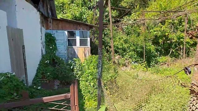Абхазия продаётся домик у моря около Гагры смотреть онлайн
