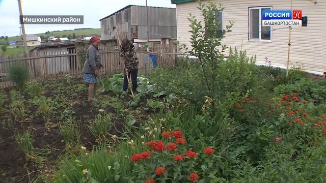 Семья Михайловых смотреть онлайн