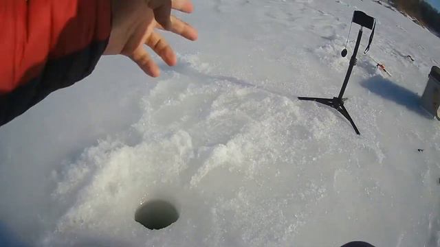 ЭТА РЫБА НЕ ДАЁТ СКУЧАТЬ РЫБАКАМ!!! Рыбалка в МАРТЕ со ЛЬДА в ОТТЕПЕЛЬ. РЫБАЛКА 2022 смотреть онлайн