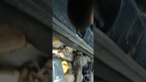 Рено доккер, замена грм.