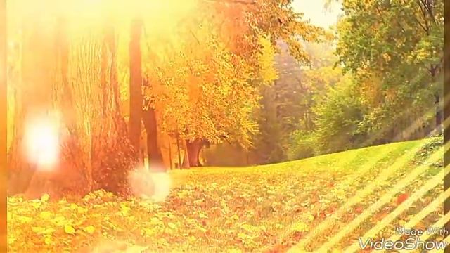 Природа-береги природу любого края , это частичка нашего сердца #2 смотреть онлайн