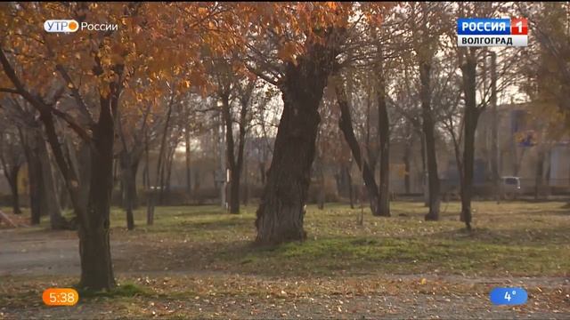 В Волгограде благоустроят парк «Русь» смотреть онлайн