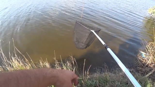ВЫБРАЛИСЬ С ДЯДЬКОЙ НА ОЗЕРО ● ПОЙМАЛИ ЗЕРКАЛЬНЫХ КАРПОВ ● РЫБАЛКА НА КАРПА ● РЫБАЛКА 2019 смотреть онлайн