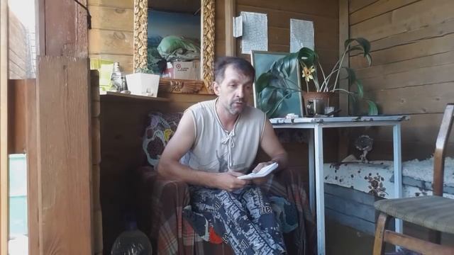 СГЛАЗ ЖИВОТНЫХ смотреть онлайн