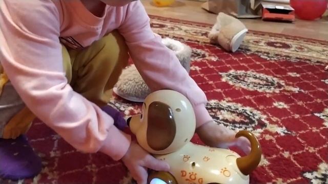 Распаковка ПОДАРКОВ на День Рождения. Что подарили Ане? Новый ПИТОМЕЦ смотреть онлайн