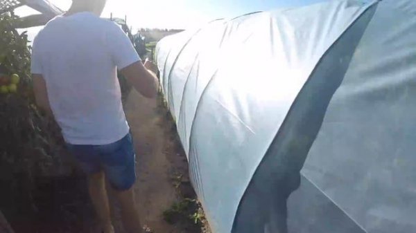 Свадьба Дорохиных. VLOG#1