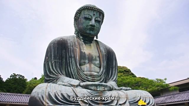 #396. Буддийские храмы (Мировая культура) смотреть онлайн
