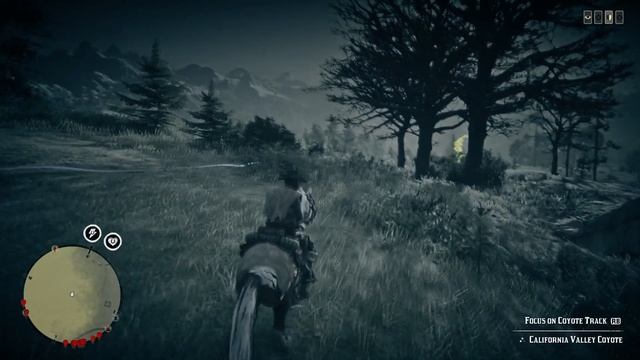 ALL Cumberland Forest West Treasure Map Location